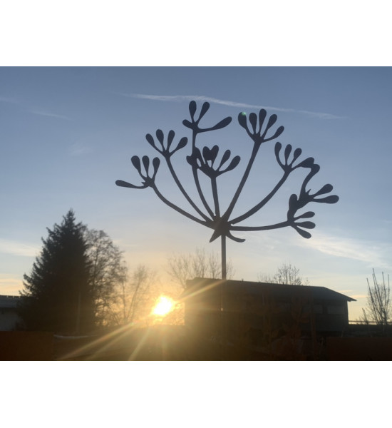 Kräuterstecker Gartenstecker Dill Blüte XL -  40 cm Ø - 1 Stk Große Dill Doldenblüte als moderner Gartenstecker Rost

Die blüh