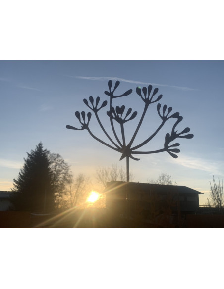 Kräuterstecker Gartenstecker Dill Blüte XL -  40 cm Ø - 1 Stk Große Dill Doldenblüte als moderner Gartenstecker Rost

Die blüh