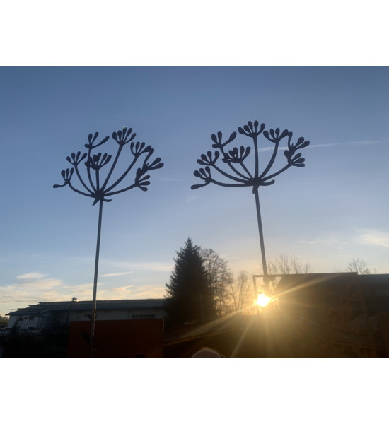 Kräuterstecker Gartenstecker Dill Blüte XL -  40 cm Ø - 1 Stk Große Dill Doldenblüte als moderner Gartenstecker Rost

Die blüh