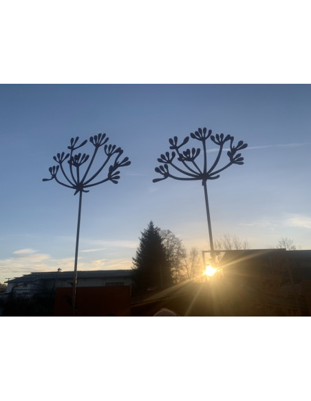 Kräuterstecker Gartenstecker Dill Blüte XL -  40 cm Ø - 1 Stk Große Dill Doldenblüte als moderner Gartenstecker Rost

Die blüh
