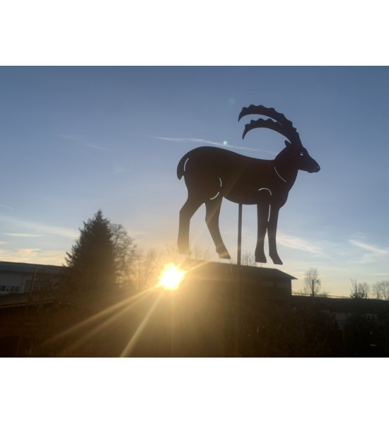 Gartenstecker Steinbock zum Stecken als Gartenstecker - Höhe 35 cm Edelrost Steinbock zum Stecken

32 x 35 cm
Stablänge: 100 
