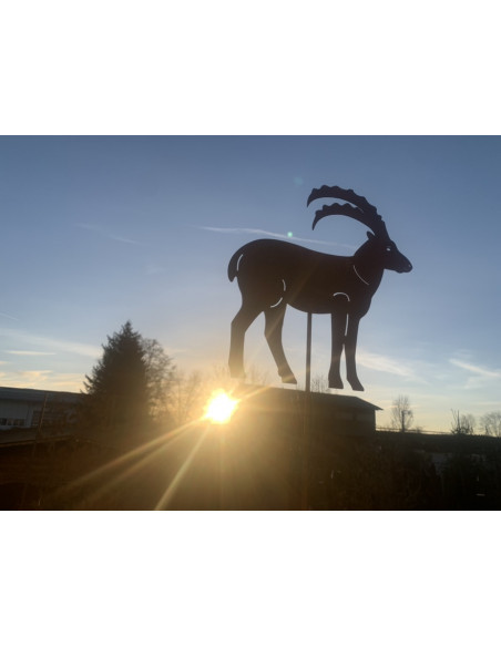 Gartenstecker Steinbock zum Stecken als Gartenstecker - Höhe 35 cm Edelrost Steinbock zum Stecken

32 x 35 cm
Stablänge: 100 