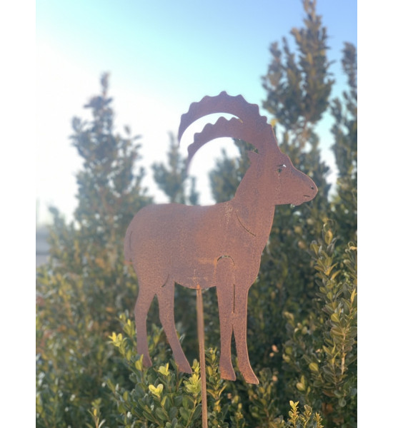 Gartenstecker Steinbock zum Stecken als Gartenstecker - Höhe 35 cm Edelrost Steinbock zum Stecken

32 x 35 cm
Stablänge: 100 