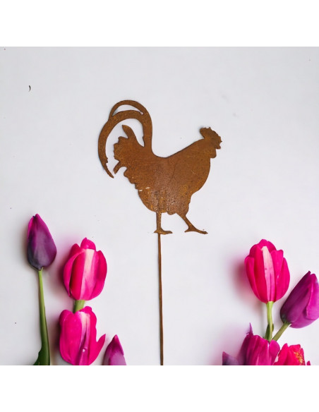 Bauernhoftiere Gockel als Gartenstecker - Höhe 24 cm - Breite 22 cm Hahn als Gartenstecker für Deine Gartendeko Zuhause.

Höhe