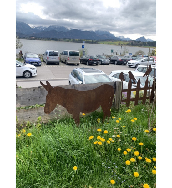 Pferde + Esel Esel XXL 95 cm hoch 110 cm breit aus 3 mm Stahl 
Höhe 95 cm
Breite 110 cm
aus 3 mm Stahl

Achtung nur Spediti