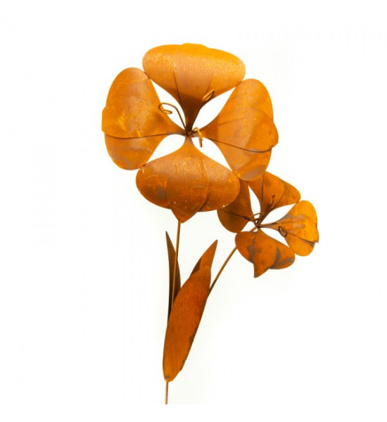 Malvenblume mit zwei Blüten auf Platte - Höhe...