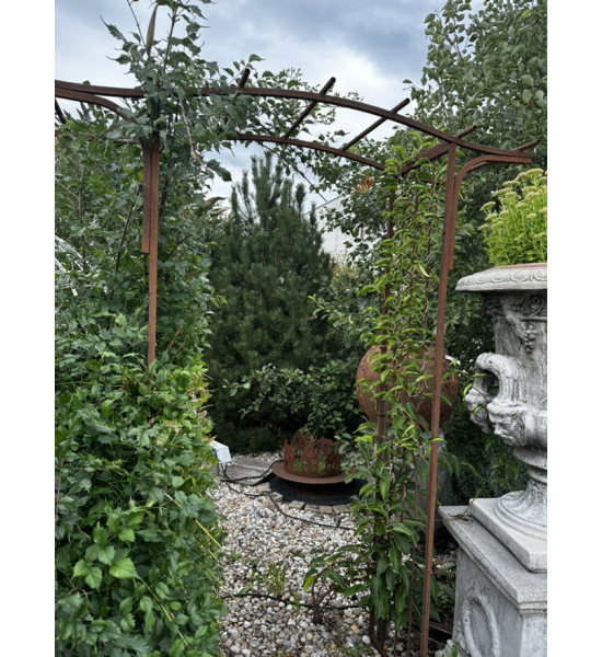 Rosenbogen Metall Rosenbogen Pergola 100 x 220 edelrost 
Höhe Durchgang 220 cm in der Mitte
Seiten 210 cm hoch
Breite 100 cm