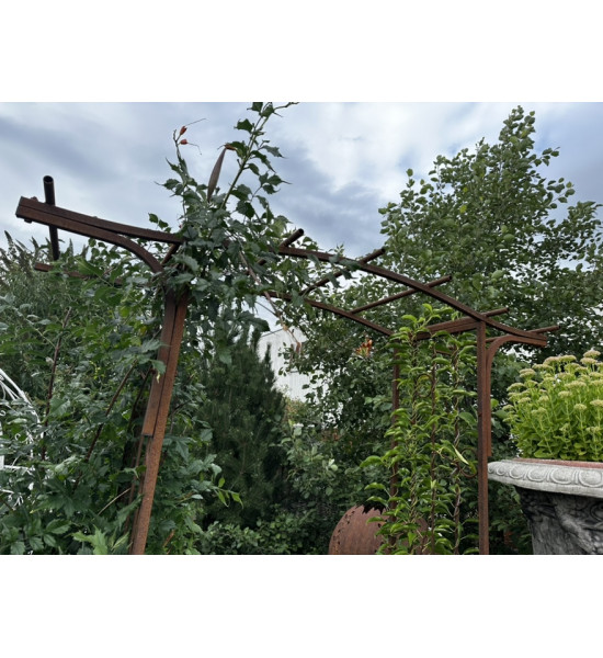 Rosenbogen Metall Rosenbogen Pergola 100 x 220 edelrost 
Höhe Durchgang 220 cm in der Mitte
Seiten 210 cm hoch
Breite 100 cm