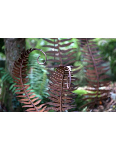 Farn Serie Farnblatt 110cm, gebogen, auf Curlstab 
Höhe 110 cm
 2