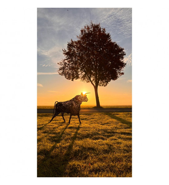 Metallkunst XXL Lebensgroßer XL Deko Stier - Torro - nach oben schauend Länge 290 cm - Höhe 180 cm Lebensgroßer Metall Stier - T