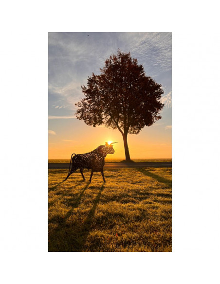 Metallkunst XXL Lebensgroßer XL Deko Stier - Torro - nach oben schauend Länge 290 cm - Höhe 180 cm Lebensgroßer Metall Stier - T