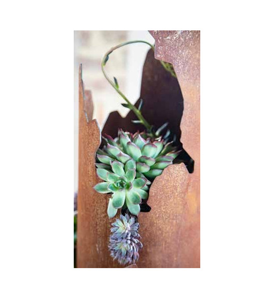 Pflanzsäulen - Säulen mit Pflanz-Schale Deko Säule Sukkulente zum Bepflanzen mit Boden und  Rissen - Höhe 150 cm 

Edelrost De