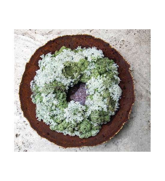 runde Pflanzschalen Ripple Schale mit Goldrand Ø 40 cm Ripple Schale mit Goldrand

Ø 40 cm
auf Platte
Goldrand aus Messing
