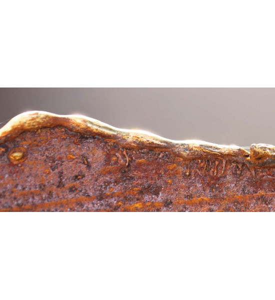 Edelrost Deko Mit Gold Verzierungen Ripple Schale mit Goldrand Ø 34 cm 
Ø 34 cm
Goldrand aus Messing
auf Platte
