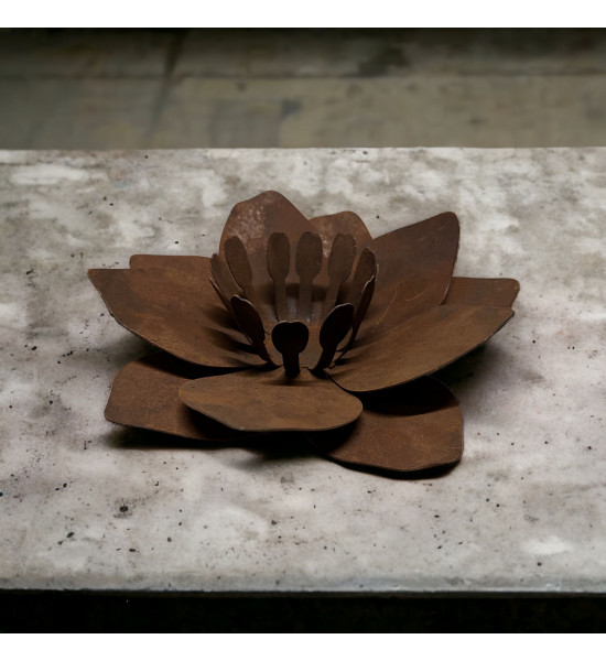 sonstige Blumen Blume - Fleur - aus Rost-Metall - klein Durchmesser 23 cm Blume "Fleur" aus Rost-Metall - klein

Durchmesser 2