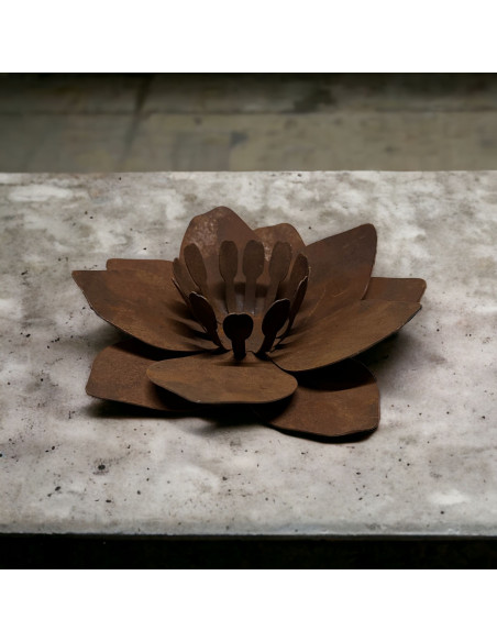 sonstige Blumen Blume - Fleur - aus Rost-Metall - klein Durchmesser 23 cm Blume "Fleur" aus Rost-Metall - klein

Durchmesser 2