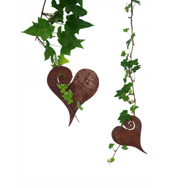Herzige Dinge - Edelrost Dekoherzen Deko Herz mit Curl zum Aufhängen 18 cm - groß Höhe 18 cm
Breite 15 cm
zum Aufhängen
