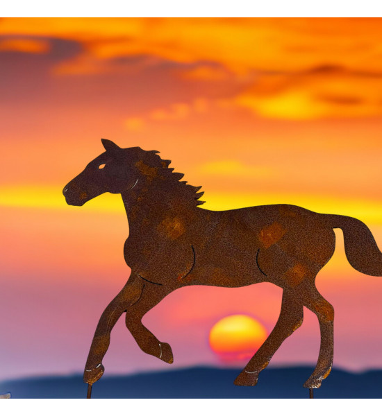 Gartenstecker Gartenstecker trabendes Pferd - Höhe 61,5 cm 
Höhe 61,5 cm
Breite 44 cm
