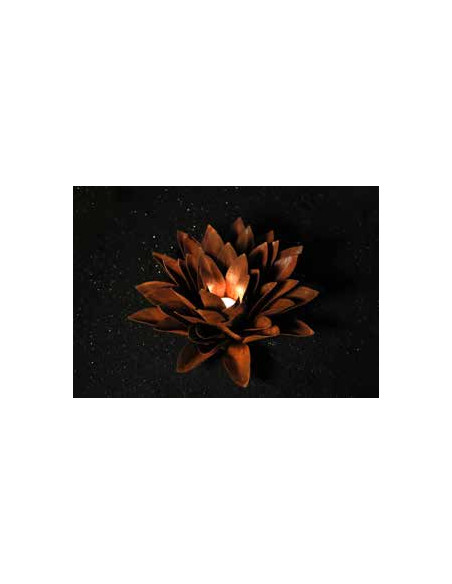 Blumen und Bäume Echeveria, spitz, d ca. 33cm 