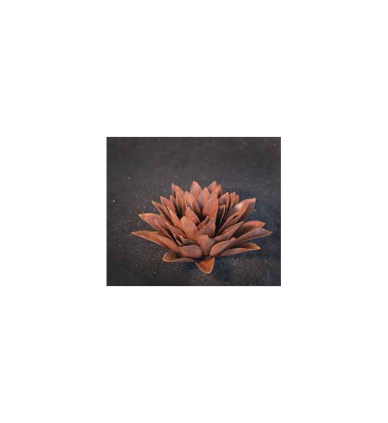 Blumen und Bäume Echeveria, spitz, d ca. 33cm 