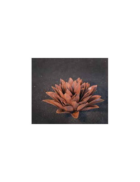 Blumen und Bäume Echeveria, spitz, d ca. 33cm 