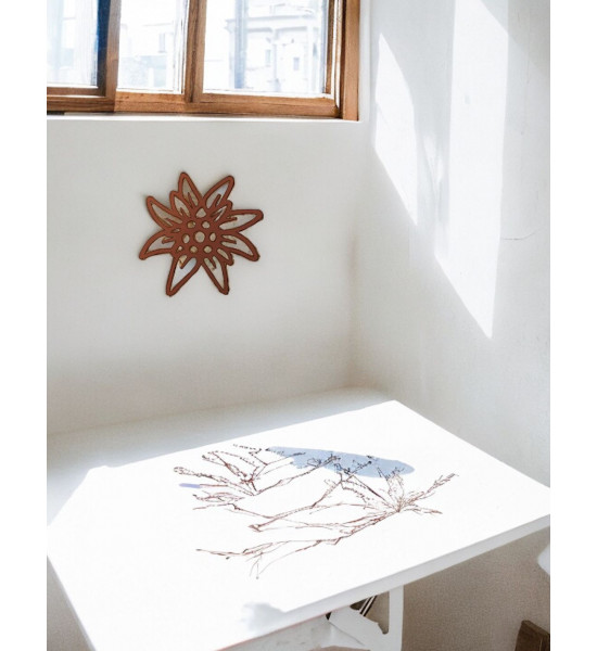 Alpenblumen XL Edelweiss Wandbild aus rostigem Metall 50 cm groß 
Großes XL Edelweiß als Wandbild
Ø 50 cm
Höhe 50 cm
Breite 