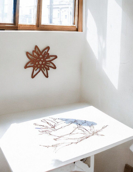 Alpenblumen XL Edelweiss Wandbild aus rostigem Metall 50 cm groß 
Großes XL Edelweiß als Wandbild
Ø 50 cm
Höhe 50 cm
Breite 