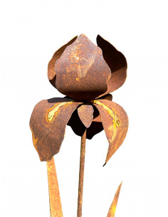 Blumen und Bäume Iris als Gartenstecker - mit Goldverzierung - Gesamthöhe 92 cm - Metall Blume 
Gesamthöhe 92 cm
Stablänge 80