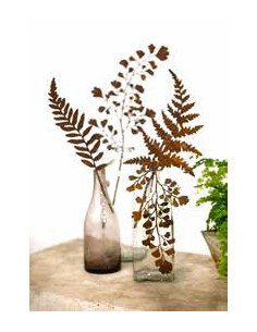 Start Frauenhaarfarn Direktstecker - Größe 2 - Höhe 42 cm Bringe mit dem Frauenhaarfarn-Direktstecker einen Hauch von Eleganz un 2