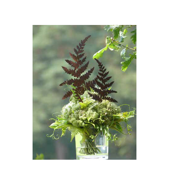 Start Farnstecker breit - Größe 2 - Höhe 42 cm Verleihe Deinem Garten mit dem breiten Farnstecker eine besondere Note. Dieses ku