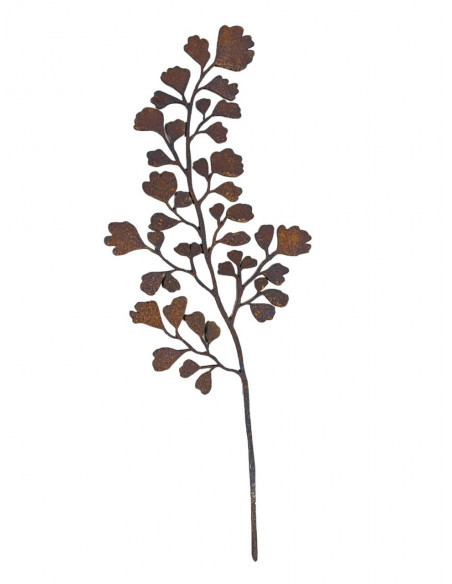 Start Frauenhaarfarn Direktstecker - Größe 2 - Höhe 42 cm Bringe mit dem Frauenhaarfarn-Direktstecker einen Hauch von Eleganz un Start Frauenhaarfarn Direktstecker - Größe 2 - Höhe 42 cm Bringe mit dem Frauenhaarfarn-Direktstecker einen Hauch von Eleganz un