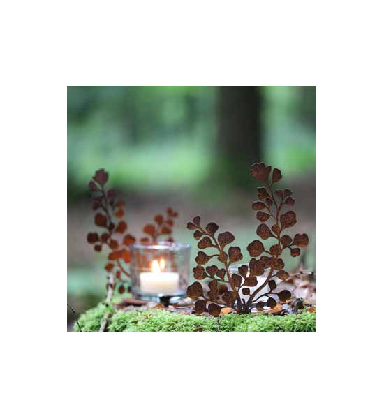 Start Frauenhaarfarn Direktstecker - Größe 2 - Höhe 42 cm Bringe mit dem Frauenhaarfarn-Direktstecker einen Hauch von Eleganz un