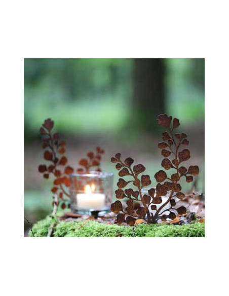 Start Frauenhaarfarn Direktstecker - Größe 2 - Höhe 42 cm Bringe mit dem Frauenhaarfarn-Direktstecker einen Hauch von Eleganz un Start Frauenhaarfarn Direktstecker - Größe 2 - Höhe 42 cm Bringe mit dem Frauenhaarfarn-Direktstecker einen Hauch von Eleganz un