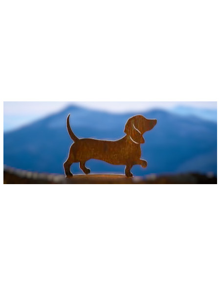 Start Dackel Ludwig auf ovaler Platte - Breite 24 cm 
Höhe: 16,5 cm
Breite: 24 cm
Material: Robustes Metall

Verwendungsmög