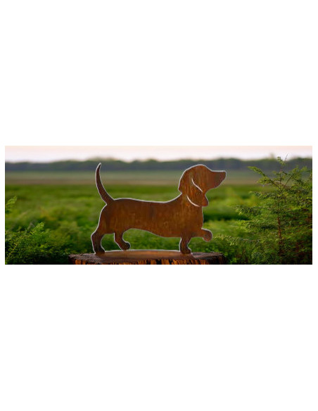 Start Dackel Ludwig auf ovaler Platte - Breite 24 cm 
Höhe: 16,5 cm
Breite: 24 cm
Material: Robustes Metall

Verwendungsmög