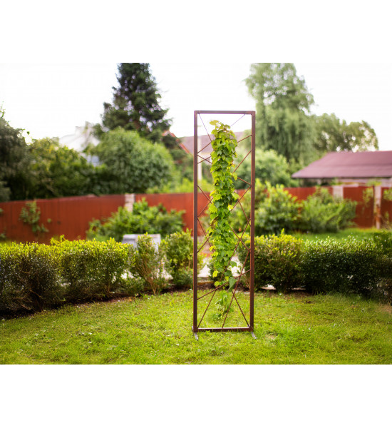 Start Rankhilfe Abstrakt - Höhe 180 cm Hol dir die einzigartige Rankhilfe Abstrakt von Metallmichl! Mit 180 cm Höhe und 49 cm Br