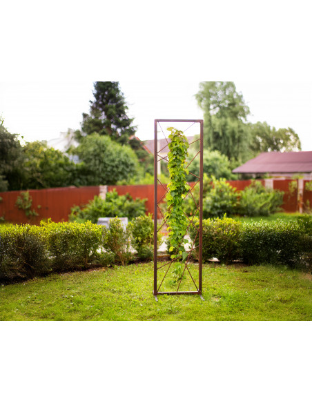 Start Rankhilfe Abstrakt - Höhe 180 cm Hol dir die einzigartige Rankhilfe Abstrakt von Metallmichl! Mit 180 cm Höhe und 49 cm Br