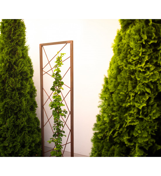 Start Rankhilfe Abstrakt - Höhe 180 cm Hol dir die einzigartige Rankhilfe Abstrakt von Metallmichl! Mit 180 cm Höhe und 49 cm Br