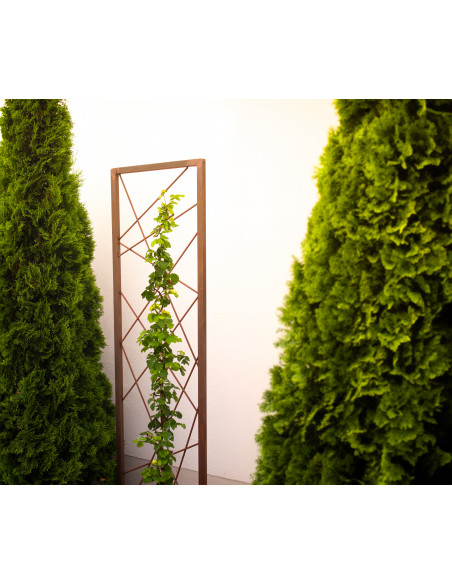 Start Rankhilfe Abstrakt - Höhe 180 cm Hol dir die einzigartige Rankhilfe Abstrakt von Metallmichl! Mit 180 cm Höhe und 49 cm Br