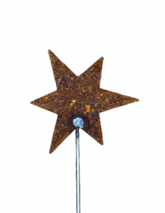 Sterne - Weihnachtstern Deko Edelrost Gartenstecker Stern - klein - 13 cm breit - Länge 58 cm 
Gesamtlänge 58 cm
Zum stecken
 2