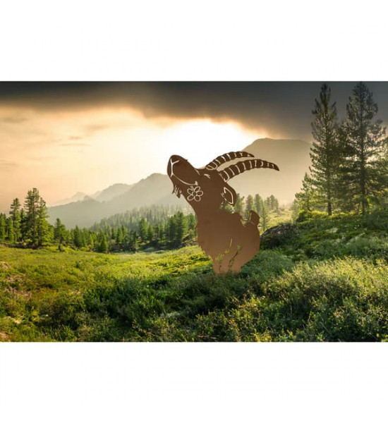 Steinbock + Murmeltier Deko  Steinbock Ferdinand groß 53 cm x 39 cm 
Höhe 53 cm
Breite 39 cm
auf Platte
