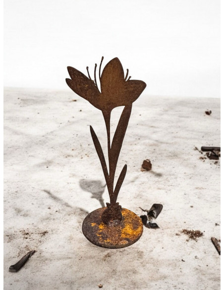 Frühlingsdeko Edelrost - Krokus auf Platte - Höhe 15 cm 
Höhe 15 cm
 Frühlingsdeko Edelrost - Krokus auf Platte - Höhe 15 cm 
Höhe 15 cm