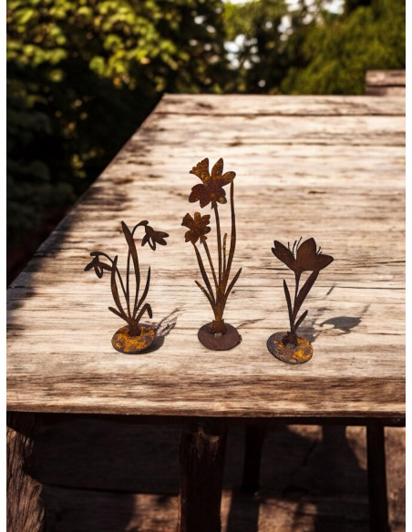 Frühlingsdeko Edelrost - Krokus auf Platte - Höhe 15 cm 
Höhe 15 cm
 Frühlingsdeko Edelrost - Krokus auf Platte - Höhe 15 cm 
Höhe 15 cm