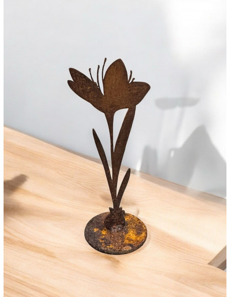 Frühlingsdeko Edelrost - Krokus auf Platte - Höhe 15 cm 
Höhe 15 cm
 Frühlingsdeko Edelrost - Krokus auf Platte - Höhe 15 cm 
Höhe 15 cm