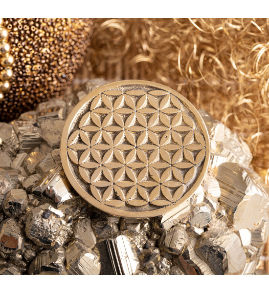 Blume des Lebens Messing Münze Blume des Lebens Ø 5,5 cm Magische Münze Lebensblume
Erzeugt ein hohes Schwingungsfeld und setzt