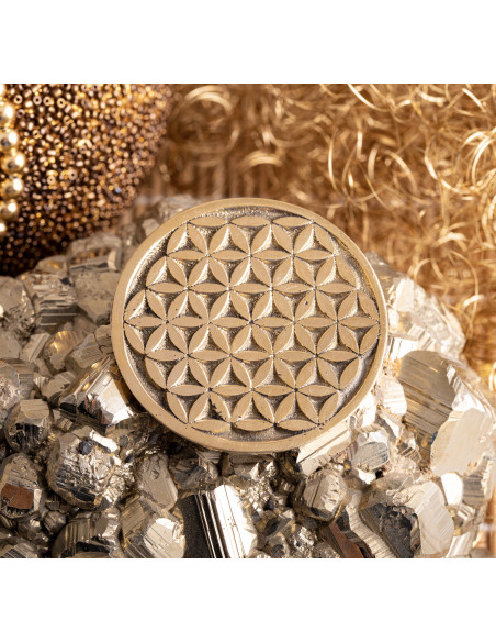 Blume des Lebens Messing Münze Blume des Lebens Ø 5,5 cm Magische Münze Lebensblume
Erzeugt ein hohes Schwingungsfeld und setzt