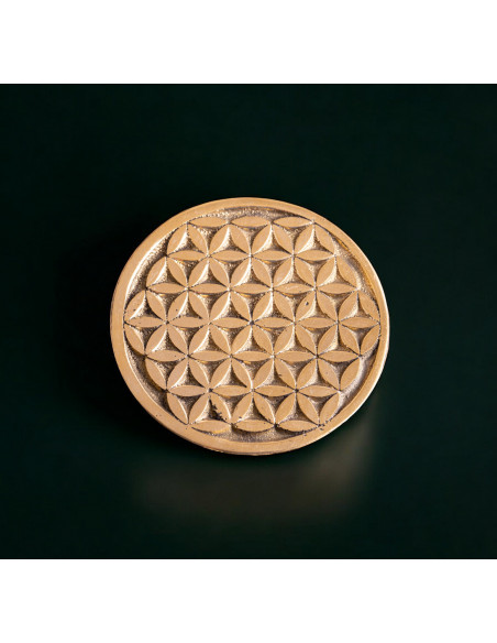 Blume des Lebens Messing Münze Blume des Lebens Ø 5,5 cm Magische Münze Lebensblume
Erzeugt ein hohes Schwingungsfeld und setzt