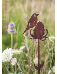 Start Edelrost - Distelfink an distel - zum Stecken - Länge 60 cm 
Länge 60 cm
 2