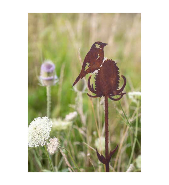 Start Edelrost - Distelfink an distel - zum Stecken - Länge 60 cm 
Länge 60 cm
