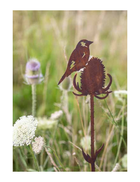 Start Edelrost - Distelfink an distel - zum Stecken - Länge 60 cm 
Länge 60 cm
